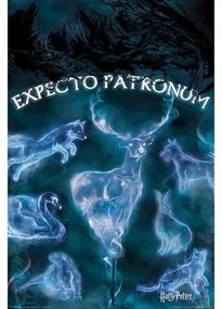 Posters Blauw Harry Potter  TA362