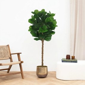 Kunst Ficus lyrata tree - 160cm