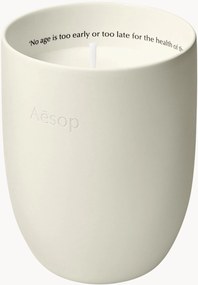 Geurkaars Ptolemy (houterig, aards, harsachtig)