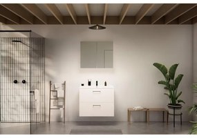 Go by Van Marcke badkamermeubelset - 80x65x45.5cm - 2 lades - met grepen - 1 wasbak wit glans - 1 kraangat - met spiegelkast - MDF standard white SW796974 - SW404481 - SW451959 - SW452449 - SW6470