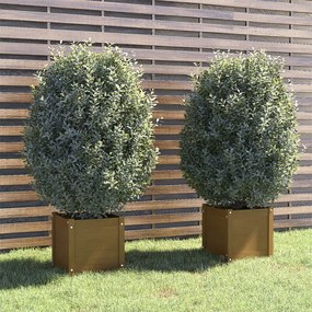 vidaXL Plantenbakken 2 st 40x40x40 cm massief grenenhout honingbruin
