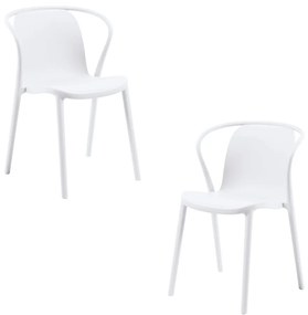 Pakket 2 Stoelen Zotli