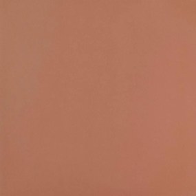 CIPA GRES Colourstyle wand- en vloertegel - 10x10cm - 7.2mm - Vierkant - gerectificeerd - Terracotta Rood mat SW07312150