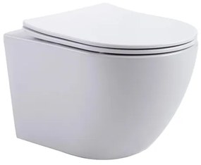 Aloni Pro Hangend Toilet - 36x49x32cm - wervelspoeling - randloos - met zitting - softclose - quick release - compact - mat wit PRO1825