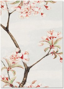 Poster Sakura Cherry During 1870