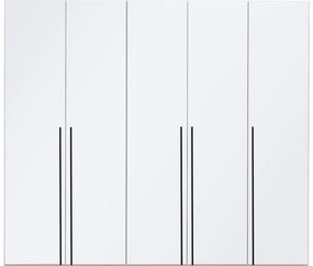 Goossens Kledingkast Easy Storage Ddk, Kledingkast 253 cm breed, 220 cm hoog, 5x glas draaideur
