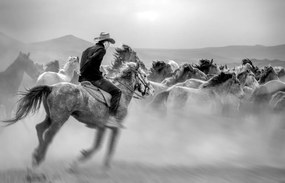Kunstfotografie Running Horses, Yabani atlar Mustafa, (40 x 26.7 cm)