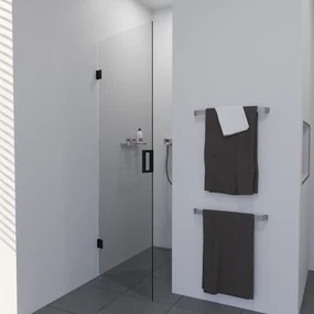 Saniclear Modern profielloze douchedeur 70x200 met zwarte scharnieren