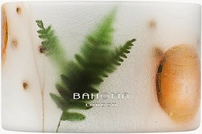 Handgegoten 3-lonts geurkaars Botanica (sinaasappelschil, mandarijn, anijs)