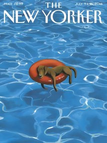 Ilustratie The NY Magazine Cover 202