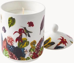 Geurkaars Jardin Tropical (vijgenboom)