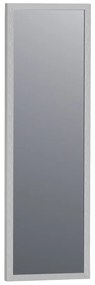 Sanituba Silhouette 25x80cm spiegel met RVS look omlijsting