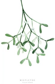 Ilustratie Watercolor mistletoe illustration, Blursbyai