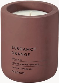 Geurkaars Fraga (bergamot & sinaasappel)