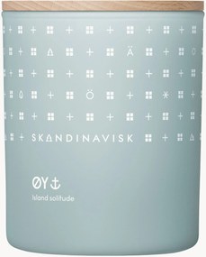 Geurkaars ØY (sierappel, hondsroos, watermossen & groene bladeren)