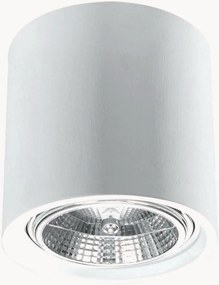 Wandlamp Roxa