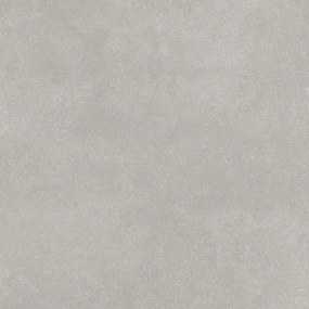 Baldocer Ceramica Delf wand- en vloertegel - 60x60cm - 9.2mm - Vierkant - gerectificeerd - Betonlook - Grijs mat SW07311676-2