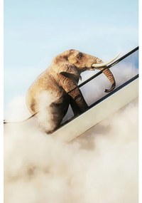 Kare Design Elephant In The Sky Schilderij Olifant Op Roltrap