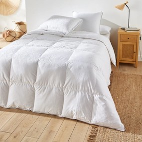 Zeer warm premium dekbed 30 % dons, antihuisstofmijt