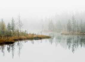 Foto Water in forest, Roine Magnusson