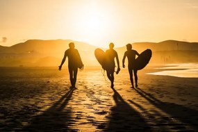 Foto Surf Trio, Miha Pavlin