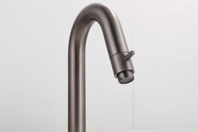 Saniclear Iron gebogen fonteinkraan verouderd ijzer - gunmetal
