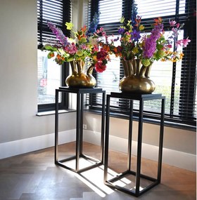 Plantenzuil Ceasar | STEELLISH