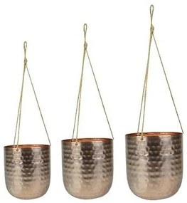 Hang Kody Rosé