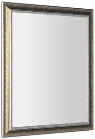 Sapho Ambiente spiegel 72x92cm brons