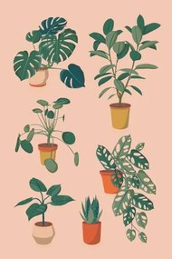 Ilustratie houseplants set, Alina Beketova, (26.7 x 40 cm)