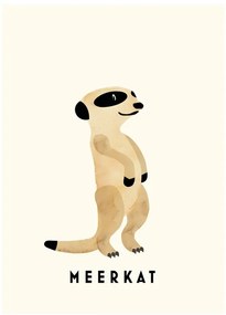 Ilustratie Meerkat, Erik Wintzell