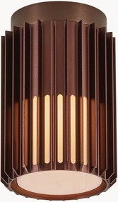 Dimbare outdoor LED-plafondlamp Aludra