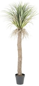 By-Boo Wild Yucca Realistische Kunstplant Yucca Medium