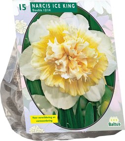 Baltus 'Narcis Ice King' - voorjaarsbloeiers - 15 bollen