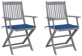vidaXL Tuinstoelen 2 st inklapbaar met kussens massief acaciahout