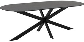 Goossens Excellent Eettafel Uniek, Semi rond 260 x 100 cm
