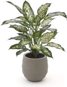 + 10% kassakorting | Kunstplant Designplants Luca Lifestyle | Groen Kunststof  | Inclusief bloempot | Kees Smit Tuinmeubelen