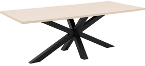 Goossens Eettafel Stone, Rechthoekig 220 x 110 cm