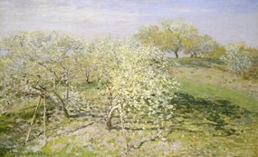 Kunstreproductie Spring – Fruit Trees in Bloom (1873), Claude Monet
