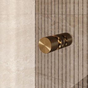 Brauer Void Carving profielloze nisdeur 160cm met draaideur 70cm aan glas messing geborsteld PVD