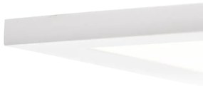 Plafonnière wit incl. LED en dimmer met afstandsbediening - Liv Modern vierkant Binnenverlichting Lamp