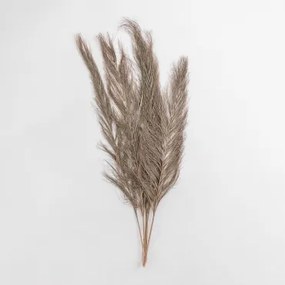 Set Van 6 Decoratieve Gedroogde Takken Nereida Bruin - Tarwe - Sklum
