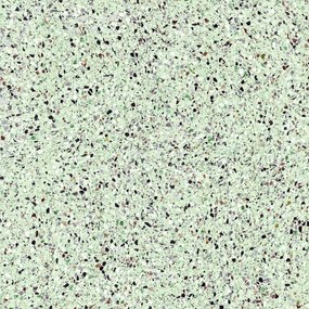 Jabo Medley Leaf terrazzo vloertegel 120x120cm gerectificeerd