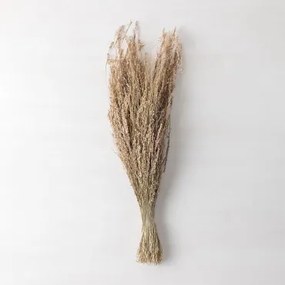 Ainala Decoratieve Tak Natuurlijke Kleuren - Sklum