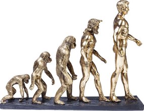 Sculptuur Evolutie