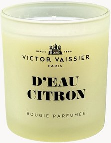 Geurkaars Victor (D'eau Citron)