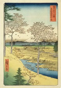 Kunstreproductie Fuji, Ando or Utagawa Hiroshige