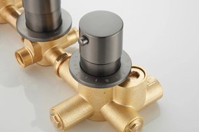 Saniclear Plus thermostaatkraan afbouwdeel verouderd ijzer gunmetal - nieuw