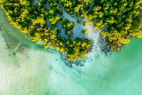 Foto Overhead view of a tropical mangrove lagoon, Roberto Moiola / Sysaworld, (40 x 26.7 cm)