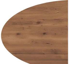 Goossens Eettafel Blade, Strak blad ovaal 260 x 120 cm 6 cm dik